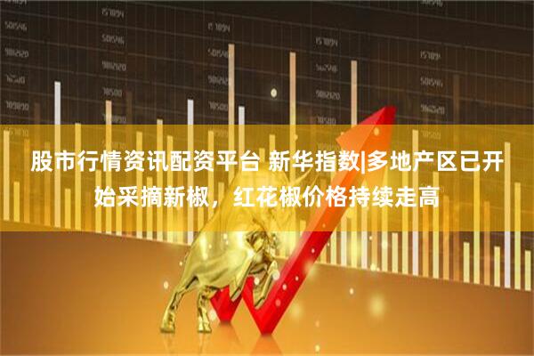 股市行情资讯配资平台 新华指数|多地产区已开始采摘新椒，红花椒价格持续走高