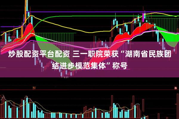炒股配资平台配资 三一职院荣获“湖南省民族团结进步模范集体”称号